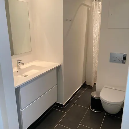 Bright 2-bedroom In The Center Of Apartment *